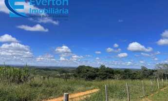 Imagem 4: Fazenda de Pecuária de Corte em São Gonçalo do Abaeté-MG: 417,48 hectares de oportunidade