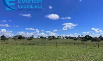 Imagem 5: Fazenda de Pecuária de Corte em São Gonçalo do Abaeté-MG: 417,48 hectares de oportunidade