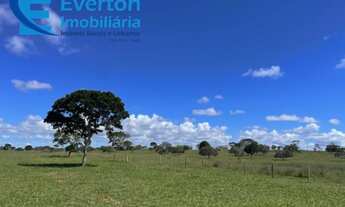 Imagem 7: Fazenda de Pecuária de Corte em São Gonçalo do Abaeté-MG: 417,48 hectares de oportunidade