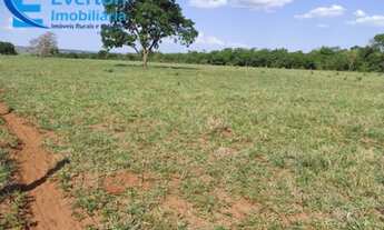 Imagem 4: Fazenda à venda: Oportunidade única em Aparecida do Rio Doce-GO, 2.803 hectares de dupla a
