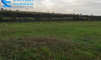 Imagem 6: Fazenda à venda: Oportunidade única em Aparecida do Rio Doce-GO, 2.803 hectares de dupla a