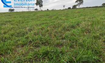 Imagem 5: Fazenda à venda: Oportunidade única em Aparecida do Rio Doce-GO, 2.803 hectares de dupla a