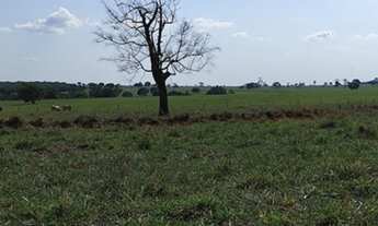 Imagem 7: Fazenda à venda: Oportunidade única em Aparecida do Rio Doce-GO, 2.803 hectares de dupla a