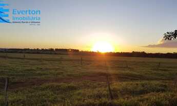 Imagem 2: Fazenda à venda: Oportunidade única em Aparecida do Rio Doce-GO, 2.803 hectares de dupla a