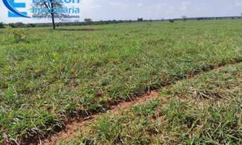 Imagem: Fazenda à venda Oportunidade única em