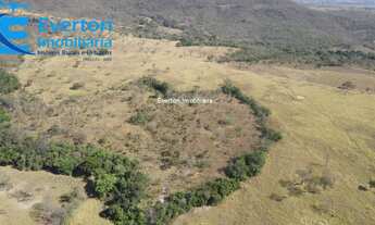 Imagem 5: Fazenda com 27 alqueires / 130 hectares - Araguari - MG