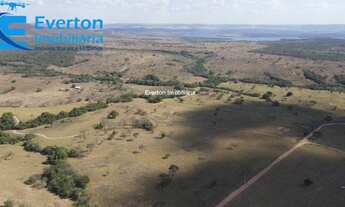 Imagem 2: Fazenda com 27 alqueires / 130 hectares - Araguari - MG