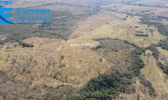 Imagem 6: Fazenda com 27 alqueires / 130 hectares - Araguari - MG