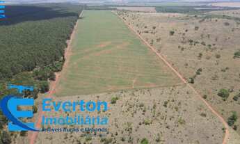 Imagem 5: Fazenda dupla aptidão município Prata MG com 569 hectares