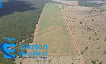 Imagem 6: Fazenda dupla aptidão município Prata MG com 569 hectares
