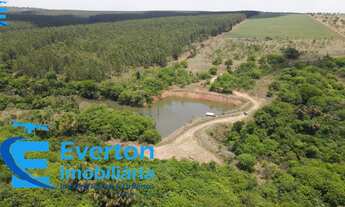 Imagem 3: Fazenda dupla aptidão município Prata MG com 569 hectares