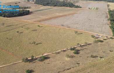 Imagem 7: Fazenda em Uberlândia com 250.37 hectares (51.72 alqueires)