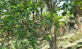 Imagem 7: Sítio 9,68ha -localizado a 38km de Uberlândia, BR365, no município de Uberlândia, nas prox