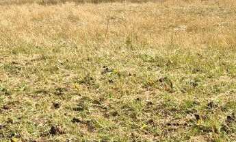 Imagem 5: Sitio próximo a Uberlândia MG