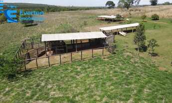 Imagem 4: Sítio 7,3 alqueires no município do Prata, região Rio do Peixe