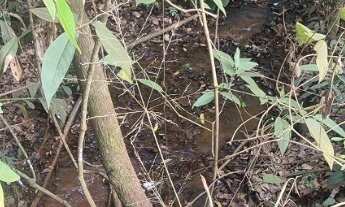 Imagem 2: Sitio próximo a Uberlândia MG