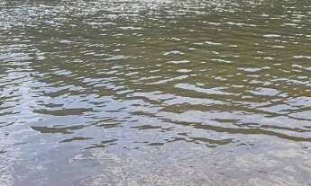 Imagem: Sitio próximo a Uberlândia MG