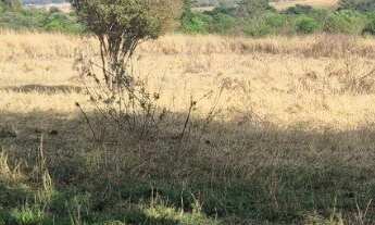 Imagem 7: Sitio próximo a Uberlândia MG