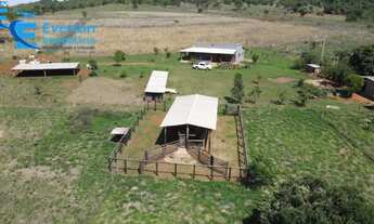 Imagem: Sítio 7,3 alqueires no município do Prata