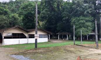 Imagem 3: CHACARA COMERCIAL em JOINVILLE - SC, PIRABEIRABA