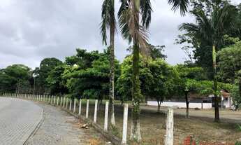 Imagem 5: CHACARA COMERCIAL em JOINVILLE - SC, PIRABEIRABA
