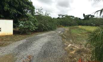 Imagem 5: CHACARA RURAL em JOINVILLE - SC, VILA NOVA