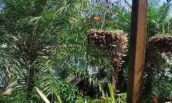 Imagem 4: CASA RESIDENCIAL em ITAPOÁ - SC, Itapema do Norte