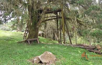 Imagem 5: CHACARA RESIDENCIAL em TIJUCAS DO SUL - PR, Pavãozinho