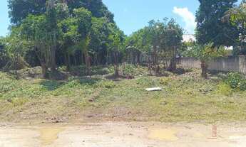 Imagem: TERRENO RESIDENCIAL em JOINVILLE - SC, ERVINO