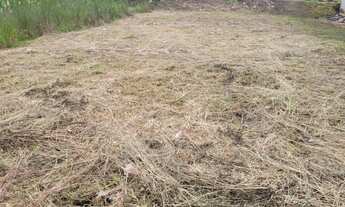 Imagem 5: TERRENO RESIDENCIAL em GARUVA - SC, SÃO JOÃO ABAIXO
