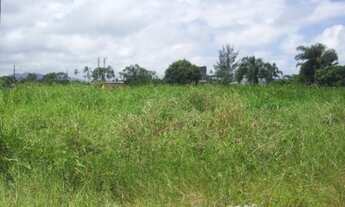 Imagem 3: Terreno Ilha Comprida, a venda