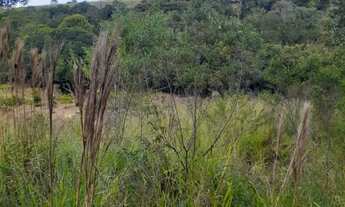 Imagem 7: CHACARA RURAL em Caldas - MG, Rio Verde
