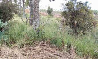 Imagem 5: SITIO RURAL em CALDAS - MG, Sitio Taquari
