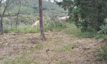 Imagem 4: SITIO RURAL em CALDAS - MG, Sitio Taquari