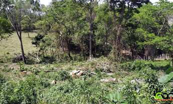 Imagem 3: Terreno de Chácara - 3 Minutos de Poços de Caldas