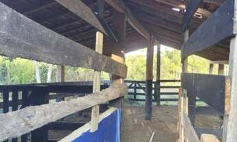 Imagem 6: SITIO RURAL em CALDAS - MG, Taquarí