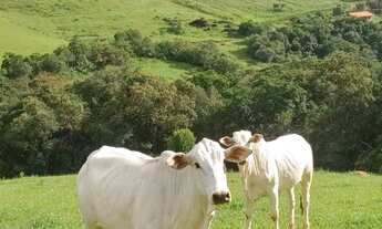 Imagem 6: SITIO RESIDENCIAL em Caldas - MG, Real