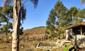 Imagem 5: CHACARA RESIDENCIAL em Poços de Caldas - MG, BR-146