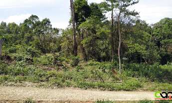 Imagem 6: Terreno de Chácara - 3 Minutos de Poços de Caldas