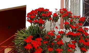 Imagem: CHACARA COMERCIAL em POÇOS DE CALDAS