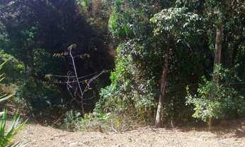 Imagem 2: CHACARA RURAL em CALDAS - MG, laranjeiras de caldas