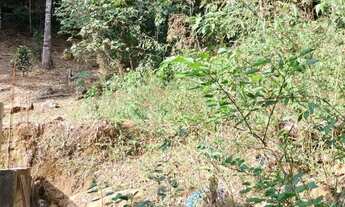 Imagem 4: CHACARA RESIDENCIAL em caldas - MG, LARANJEIRA DE CALDAS