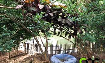 Imagem 7: CHACARA RESIDENCIAL em BANDEIRA DO SUL - MG, CORREAS