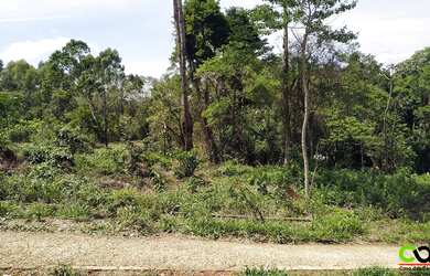 Imagem 6: Terreno de Chácara - 3 Minutos de Poços de Caldas
