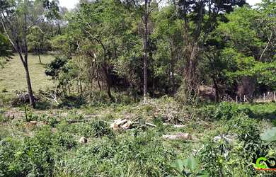 Imagem 7: Terreno de Chácara - 3 Minutos de Poços de Caldas