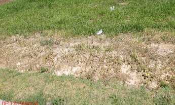 Imagem: ÁREA INDUSTRIAL em Cardeal - SP, Cardeal