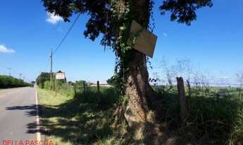 Imagem 2: FAZENDA RURAL em MONTE MOR - SP, MUNICIPIO DE MONTE MOR