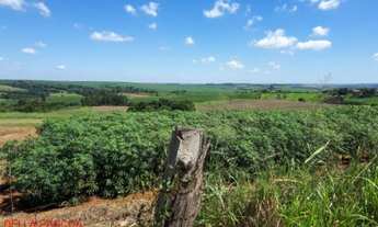 Imagem 7: FAZENDA RURAL em MONTE MOR - SP, MUNICIPIO DE MONTE MOR