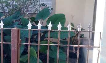 Imagem 2: ÓTIMA LOCALIZAÇÃO NA AVENIDA ITORORÓ EM INDAIATUBA/SP