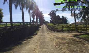 Imagem: FAZENDA RURAL em Itapetininga - SP, centro